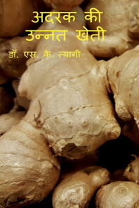 Improved Cultivation of Ginger / &#2309;&#2342;&#2352;&#2325; &#2325;&#2368; &#2313;&#2344;&#2381;&#2344;&#2340; &#2326;&#2375;&#2340;&#2368;