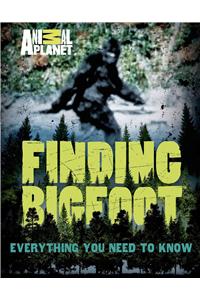 Finding Bigfoot