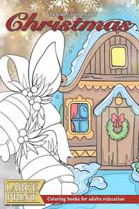 LARGE PRINT Coloring books for adults relaxation CHRISTMAS