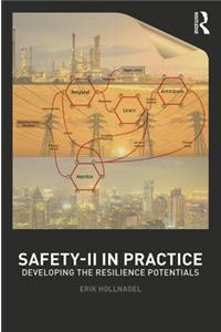 Safety-II in Practice