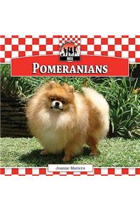 Pomeranians