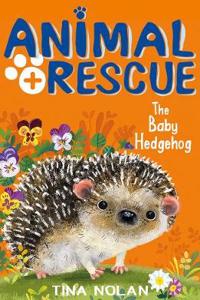 Baby Hedgehog