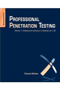 Professional Penetration Testing