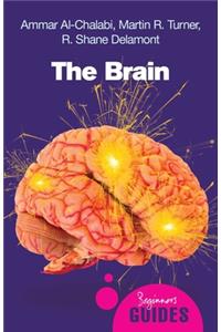 The Brain