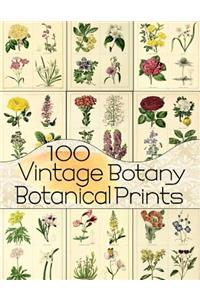 100 Vintage Botany Botanical Prints