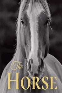 The Horse