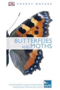 Butterflies and Moths