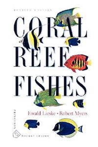 Coral Reef Fishes