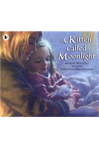 A Kitten Called Moonlight