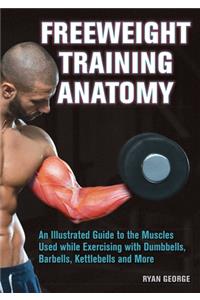 Freeweight Training Anatomy