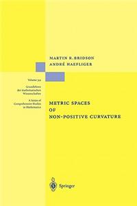 Metric Spaces of Non-Positive Curvature