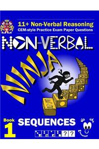 11+ Non Verbal Reasoning