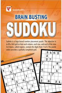 Brain Busting SUDOKU