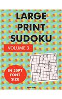 Large Print Sudoku Volume 3