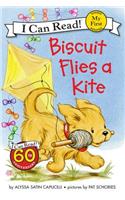 Biscuit Flies a Kite