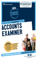 Accounts Examiner