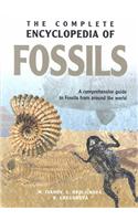 Complete Encyclopedia of Fossils