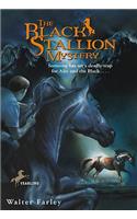 The Black Stallion Mystery