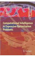 Computational Intelligence in Expensive Optimization Problems