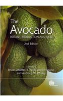 The Avocado