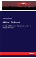 A History Of Gujarat