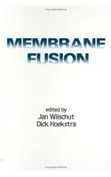 Membrane Fusion