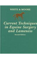 Current Techniques in Equine Surgery and Lameness