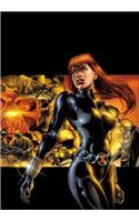 Black Widow: The Itsy-Bitsy Spider