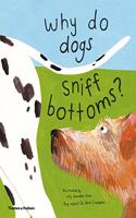 Why do dogs sniff bottoms?