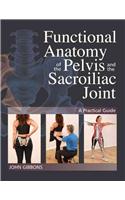 Functional Anatomy of the Pelvis and the Sacroiliac Joint