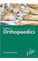 Netter's Orthopaedics