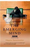 Emerging Mind