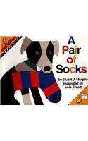 A Pair of Socks