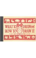 What to Draw and How to Draw It