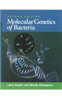 Molecular Genetics of Bacteria