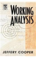 Working Analysis