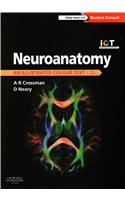 Neuroanatomy: An Illustrated Colour Text