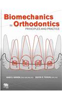 Biomechanics in Orthodontics: Principles and Practice