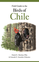 Field Guide to the Birds of Chile