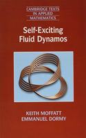 Self-Exciting Fluid Dynamos