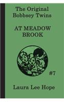 The Bobbsey Twins at Meadow Brook