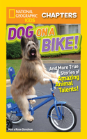 Dog on a Bike!