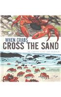 When Crabs Cross the Sand