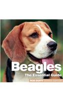 Beagles