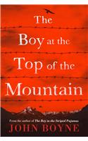 Boy at the Top of the Mountain