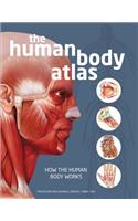 The Human Body Atlas