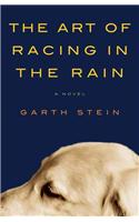 The Art of Racing in the Rain