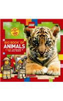 Big Book of Animals (Lego Nonfiction)