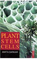 Plant Stem Cells