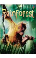 Rainforests